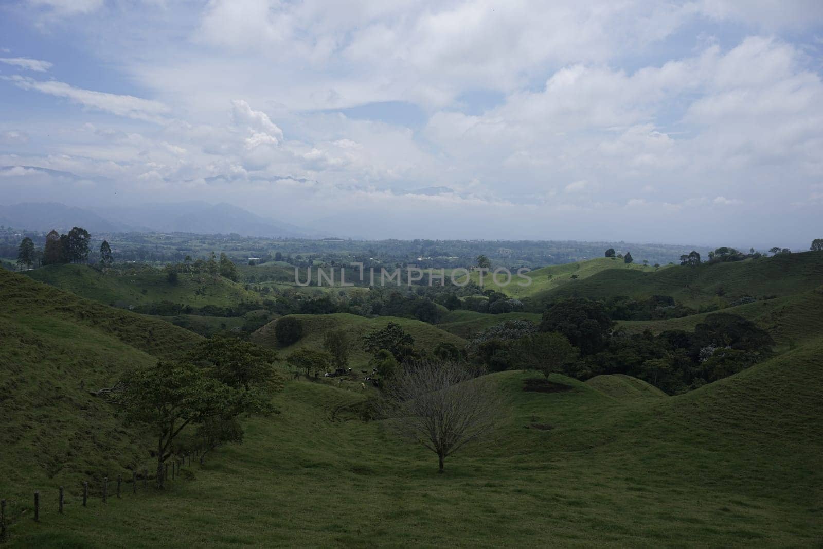Lush landscape on the way to the Cocora Valley, Valle de Cocora, close to Salento, Eje Cafetero, Colombia 2020