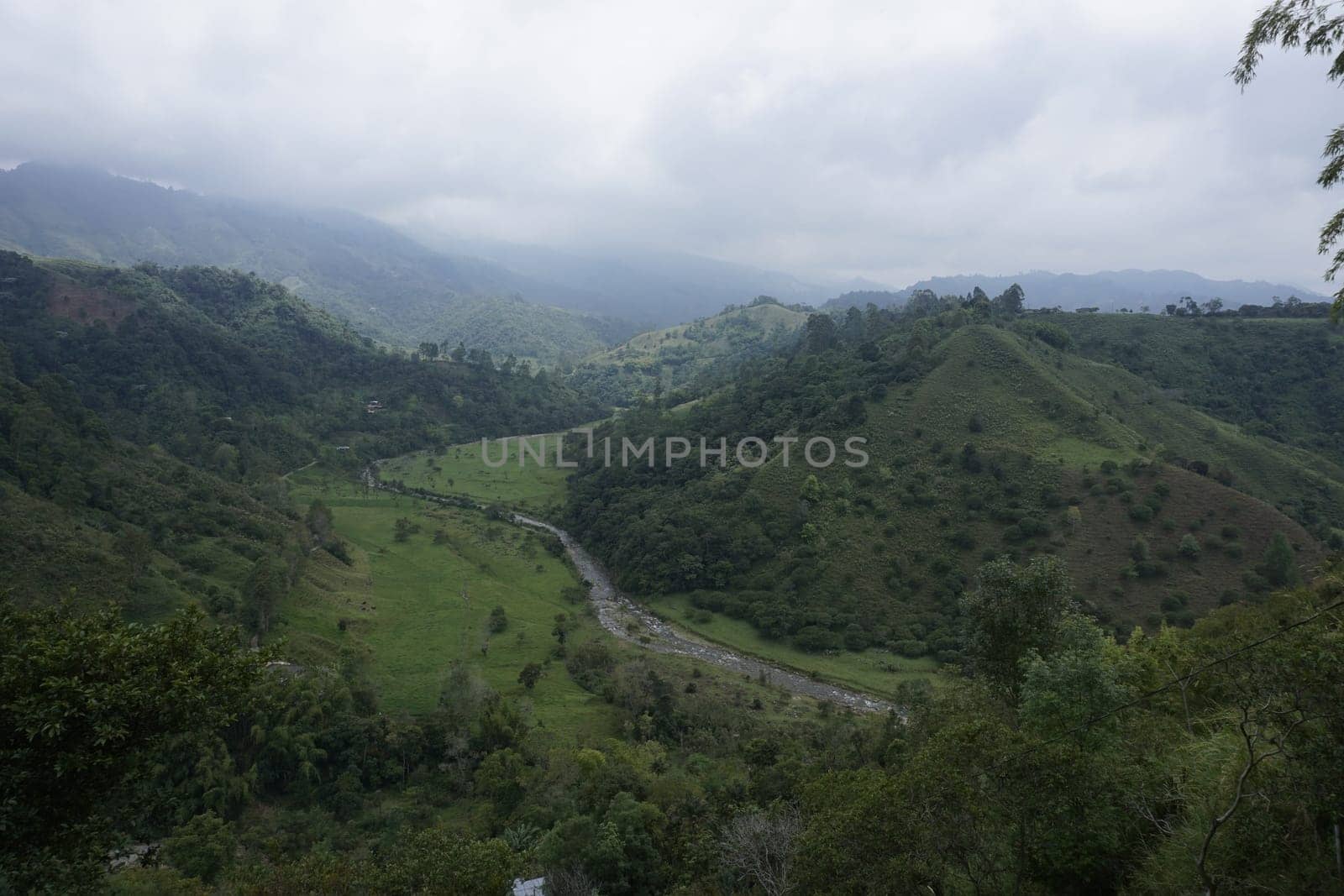 Lush landscape on the way to a coffee farm close to Salento, Eje Cafetero, Colombia 2020