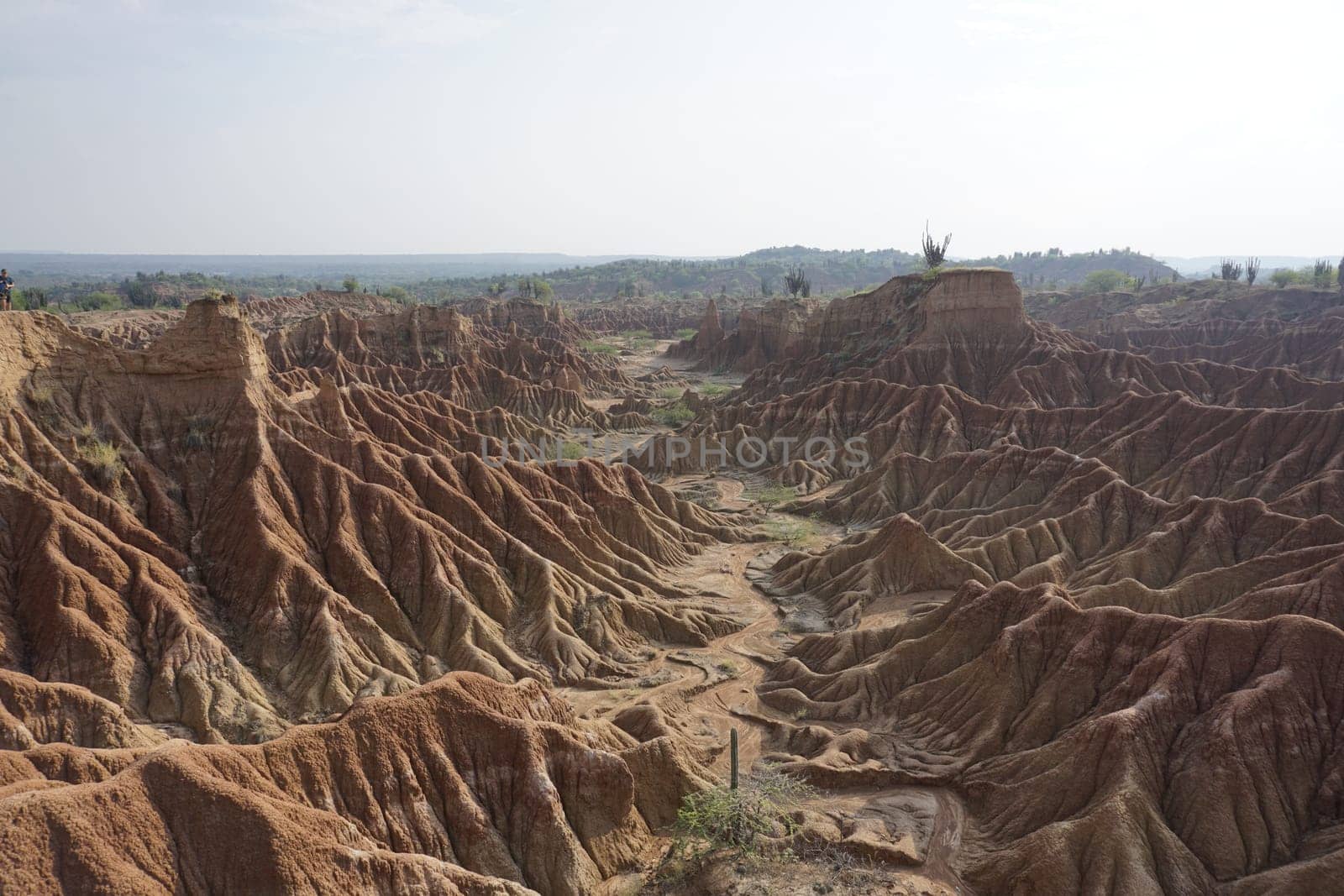 Bizarre lunar landscape and red rock formations in the Tatacoa Desert, Desierto de la Tatacoa, Colombia 2020