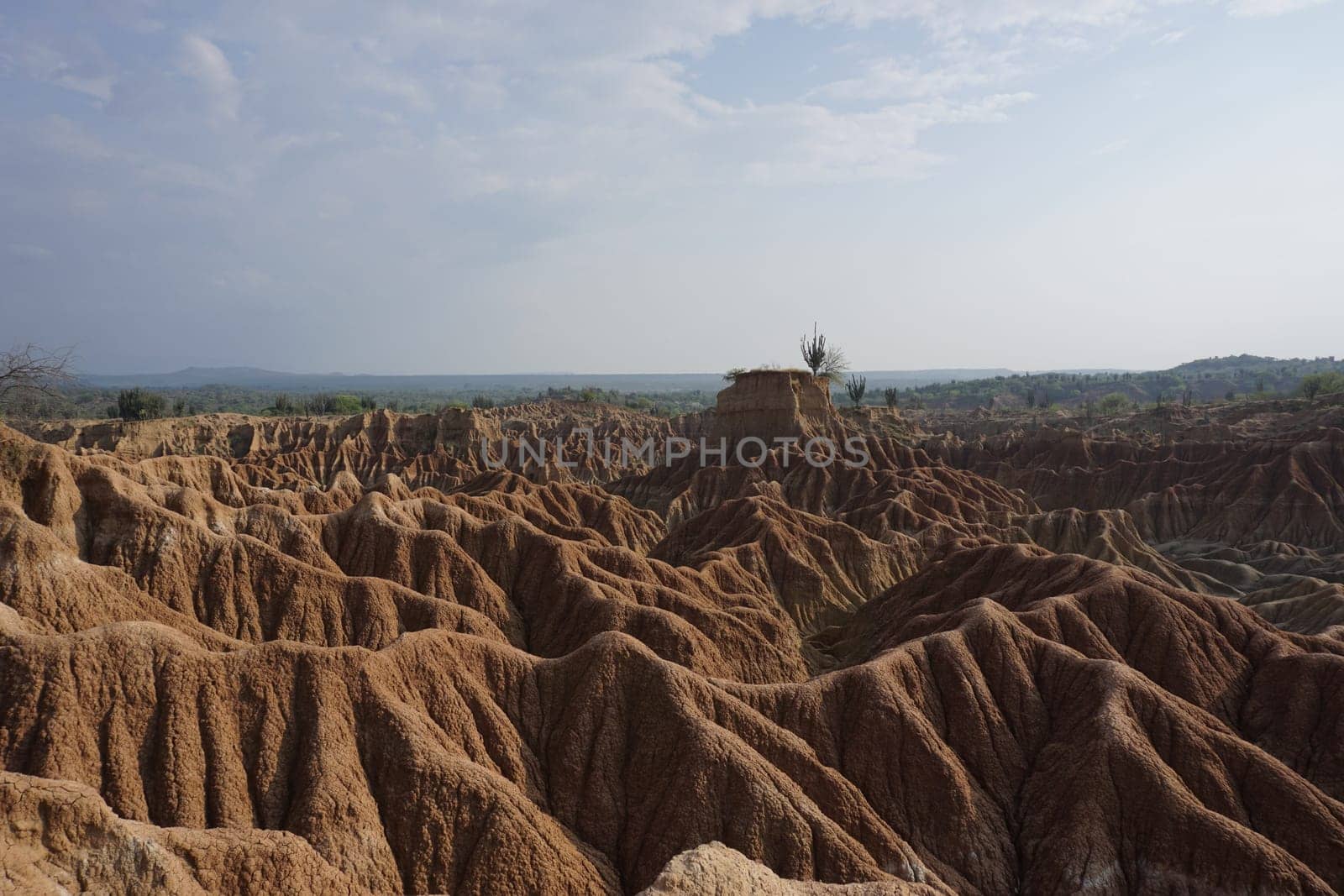 Bizarr lunar landscape and eroded red rock formations in the Tatacoa Desert, Desierto de la Tatacoa, Colombia 2020