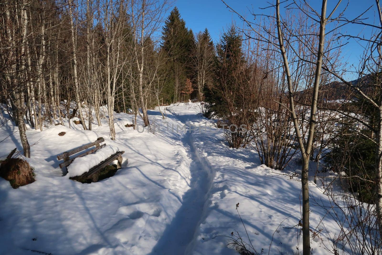 Winter landscape, forest, bench and path covered in snow, Wertach, Allgau, Germany 2021