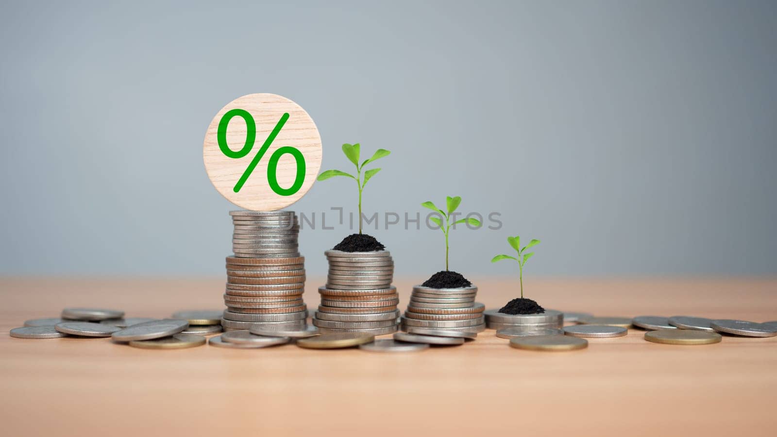Concept of investment growth, Showing financial developments and business growth with a growing tree on a coin, Money Growth Concept, Concept of rich wealthy and saving money, Investing in stocks.