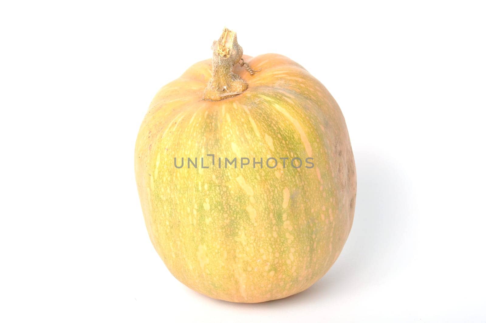 Squash on a white background