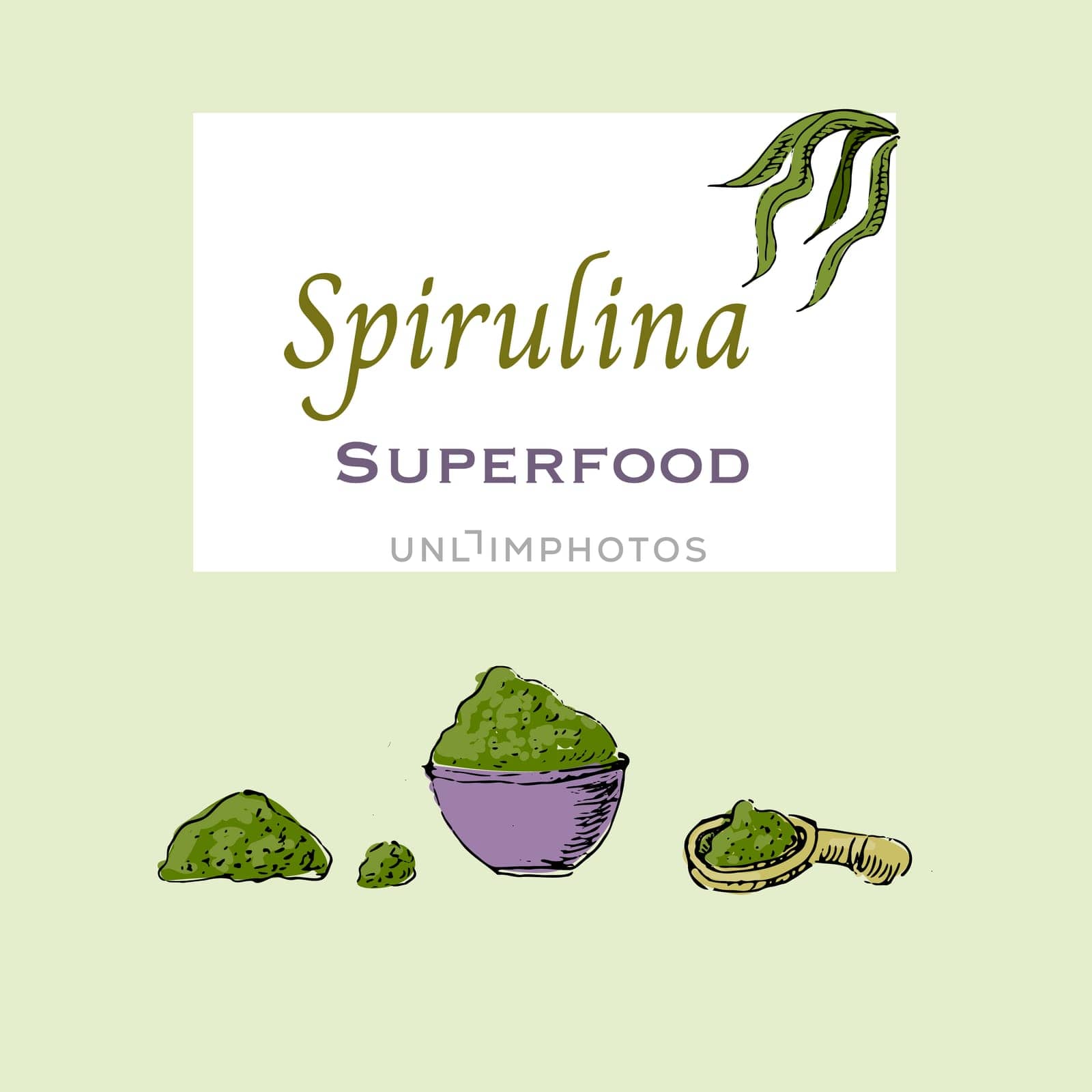 Spirulina powder background in hand drawn sketch style. Vector illustration multicolored. Can used for superfood label, flyer, card.