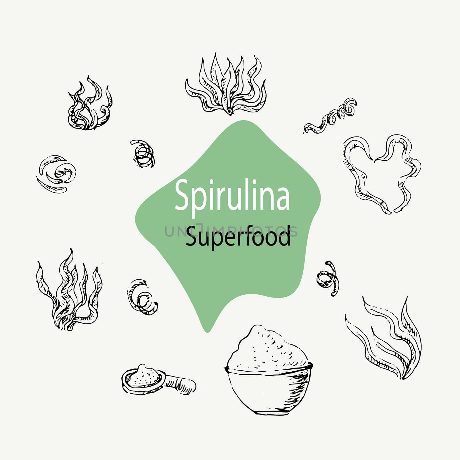 Vector background of spirulina - spirulina algae, pills and powder outline. Superfood. Vector hand drawn illustration. Vector collection can used for banner, label.