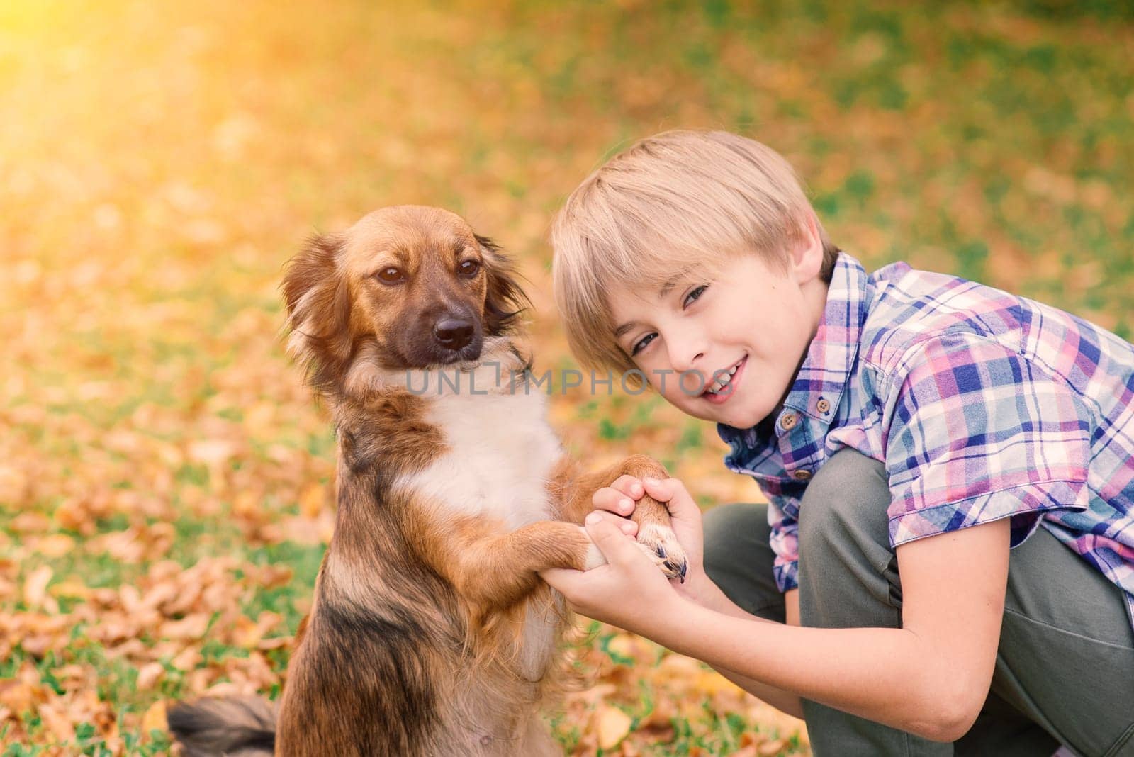 Cute boy playing and walking with his dog in the meadow.