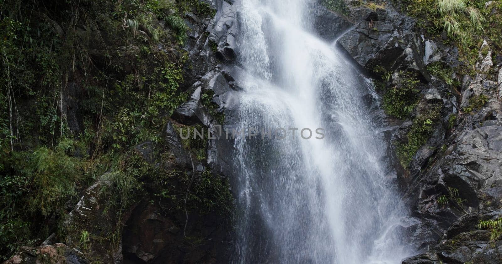Beautiful waterfall in the forest