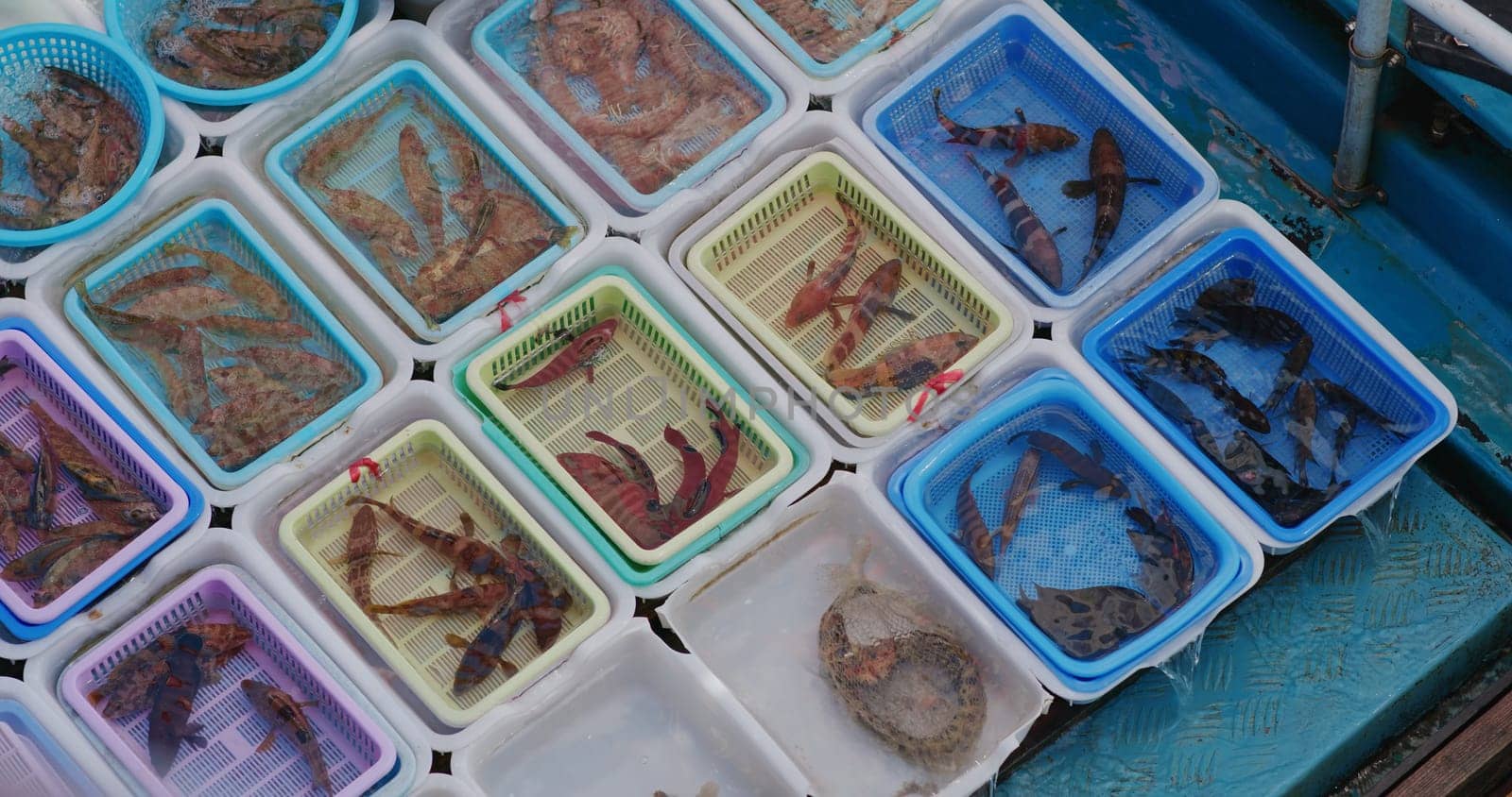 Sell seafood on fisherman boat