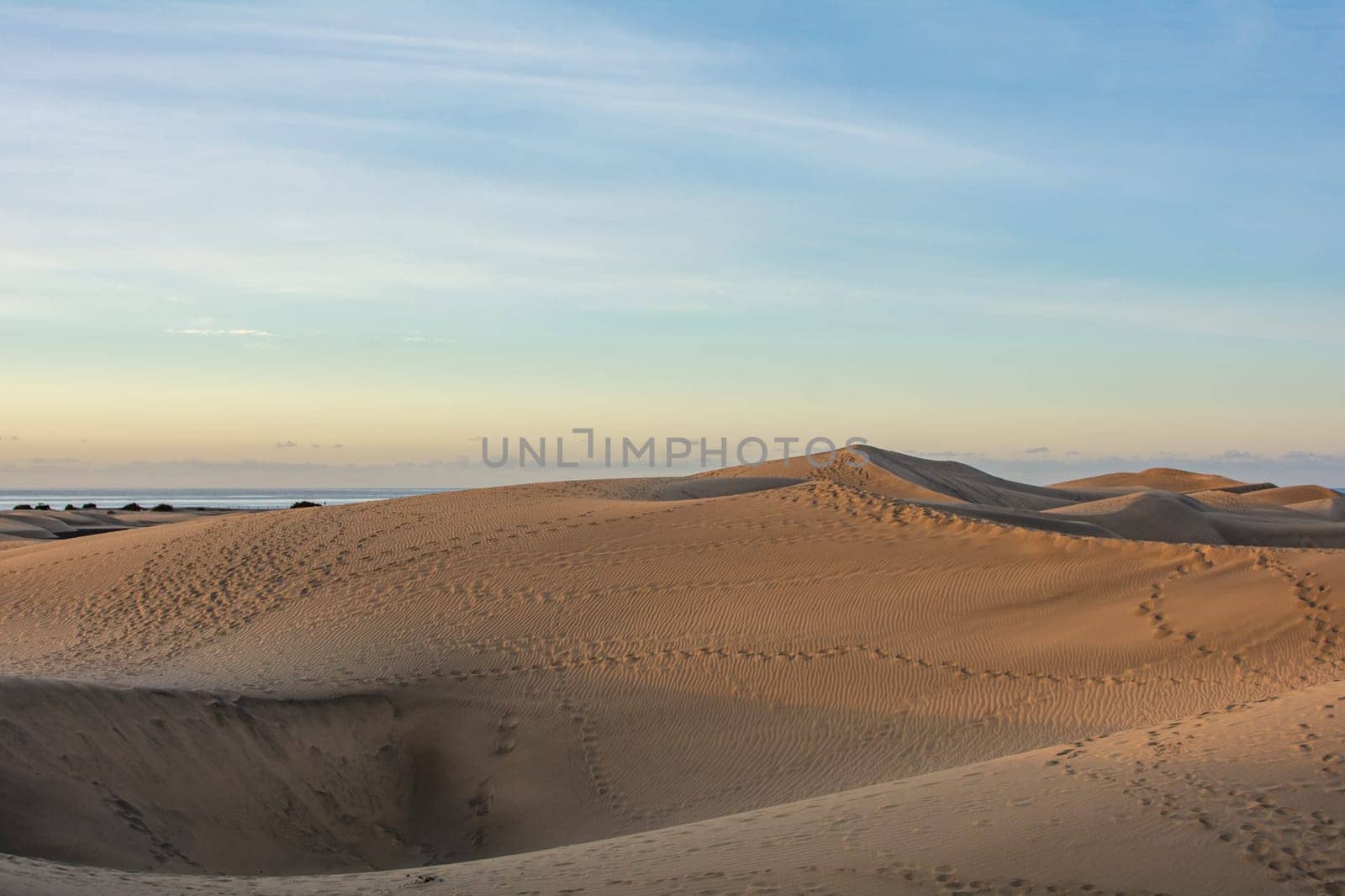 In the dunes of Maspalomas on Gran Canaria in Spain. The huge sand dunes resemble a small desert and are a nature reserve.