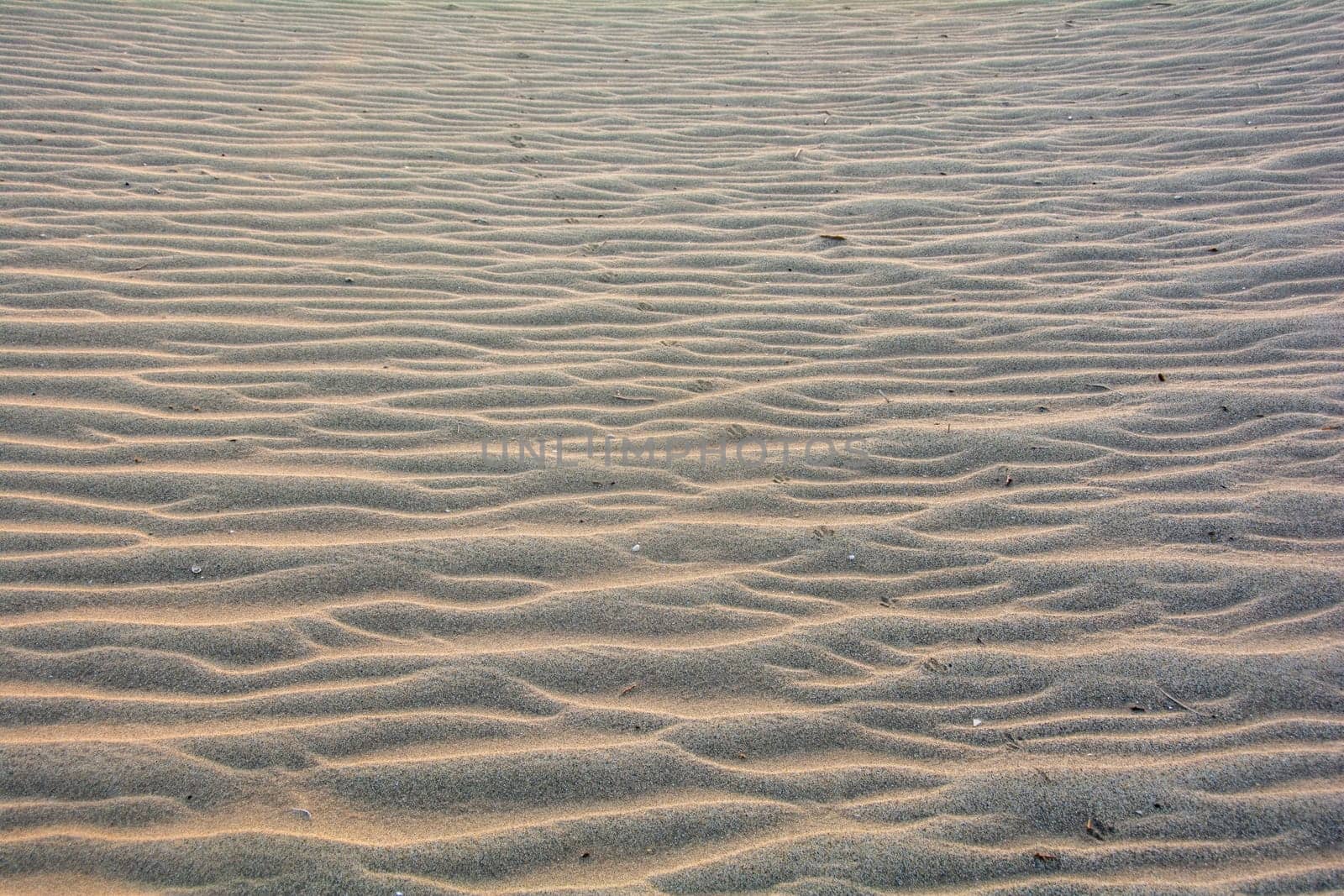 Wavy sand on a dune, full frame