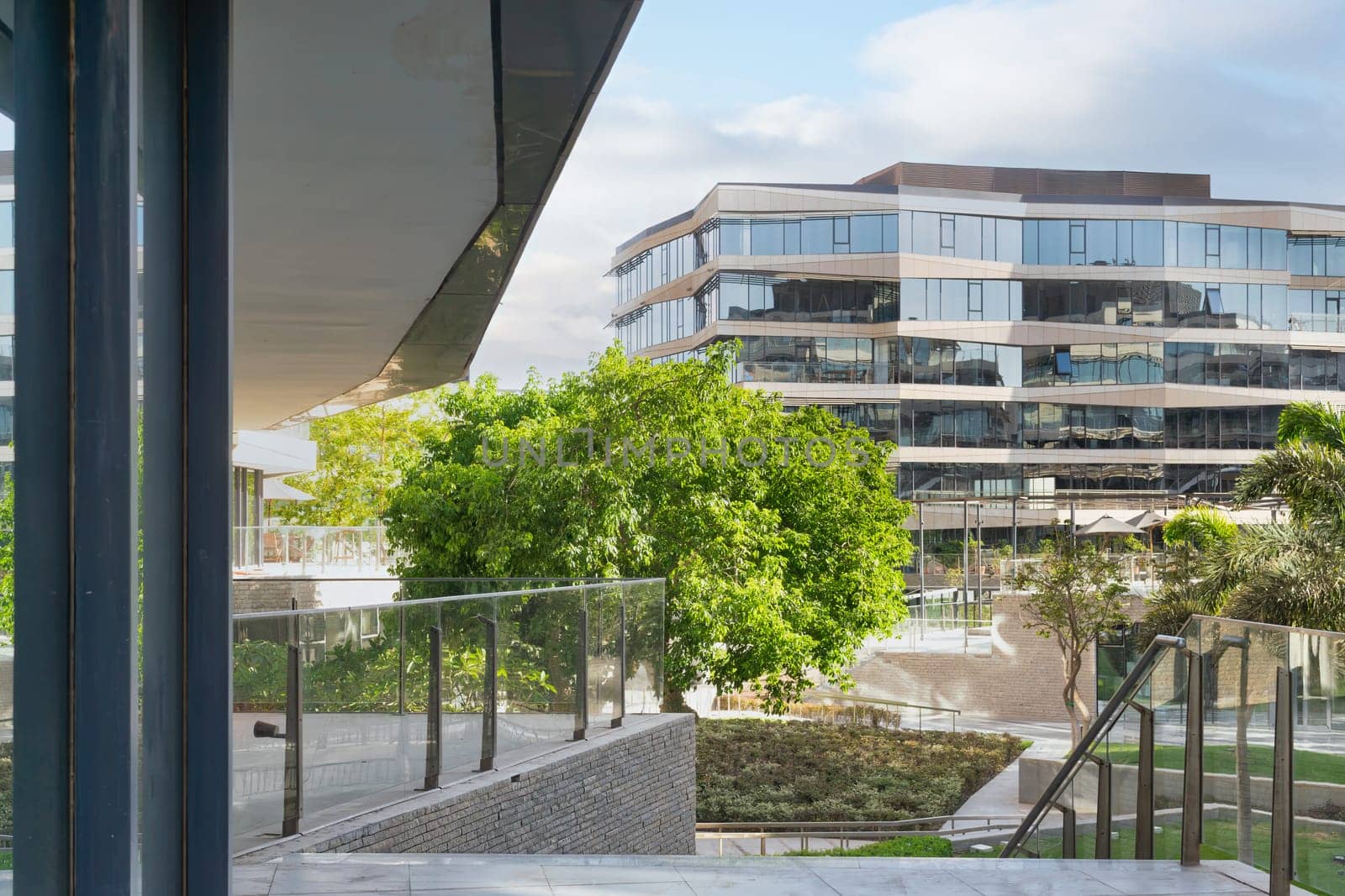 Contemporary urban city district with well run glass building and verdant lawn and trees before sunset