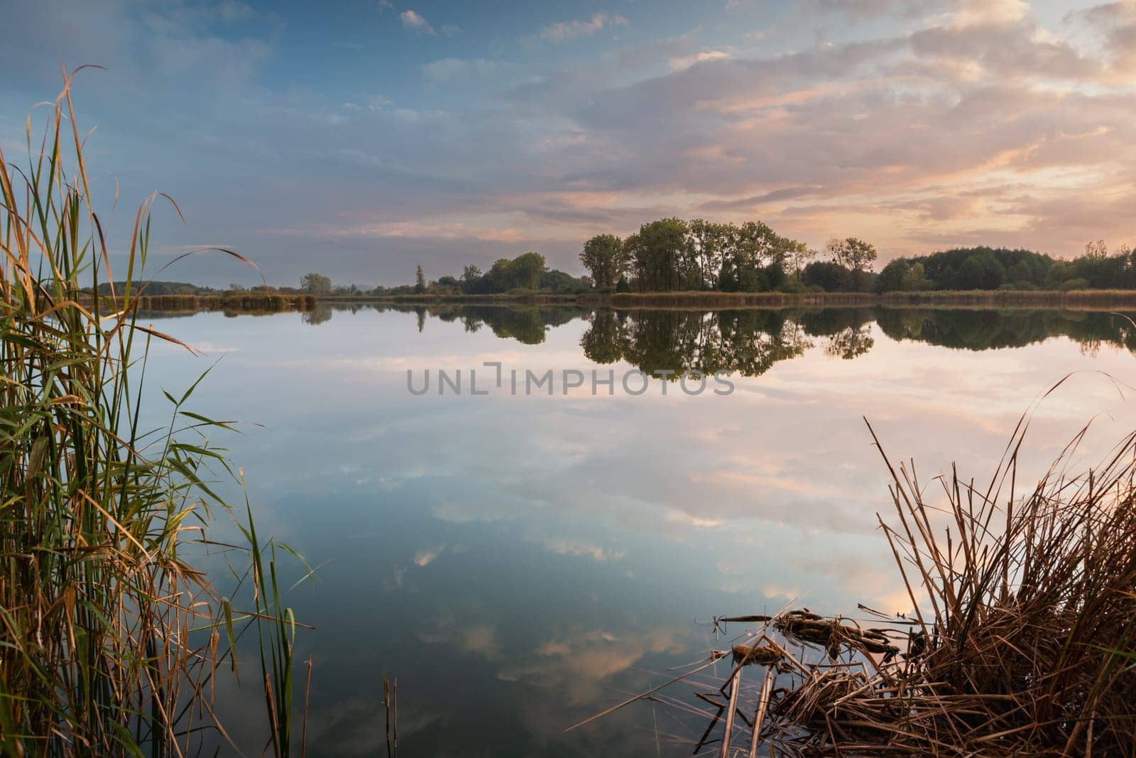 Evening beautiful sky over a calm lake with reeds