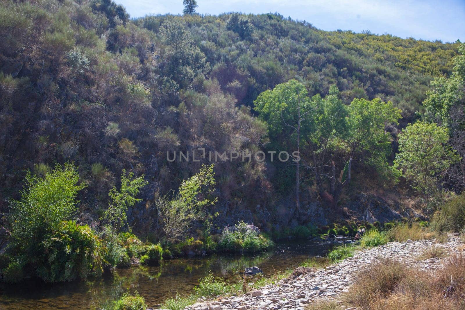 Arrago River watercourse close to Perales del Puerto, Sierra de Gata, Caceres, Extremadura, Spain