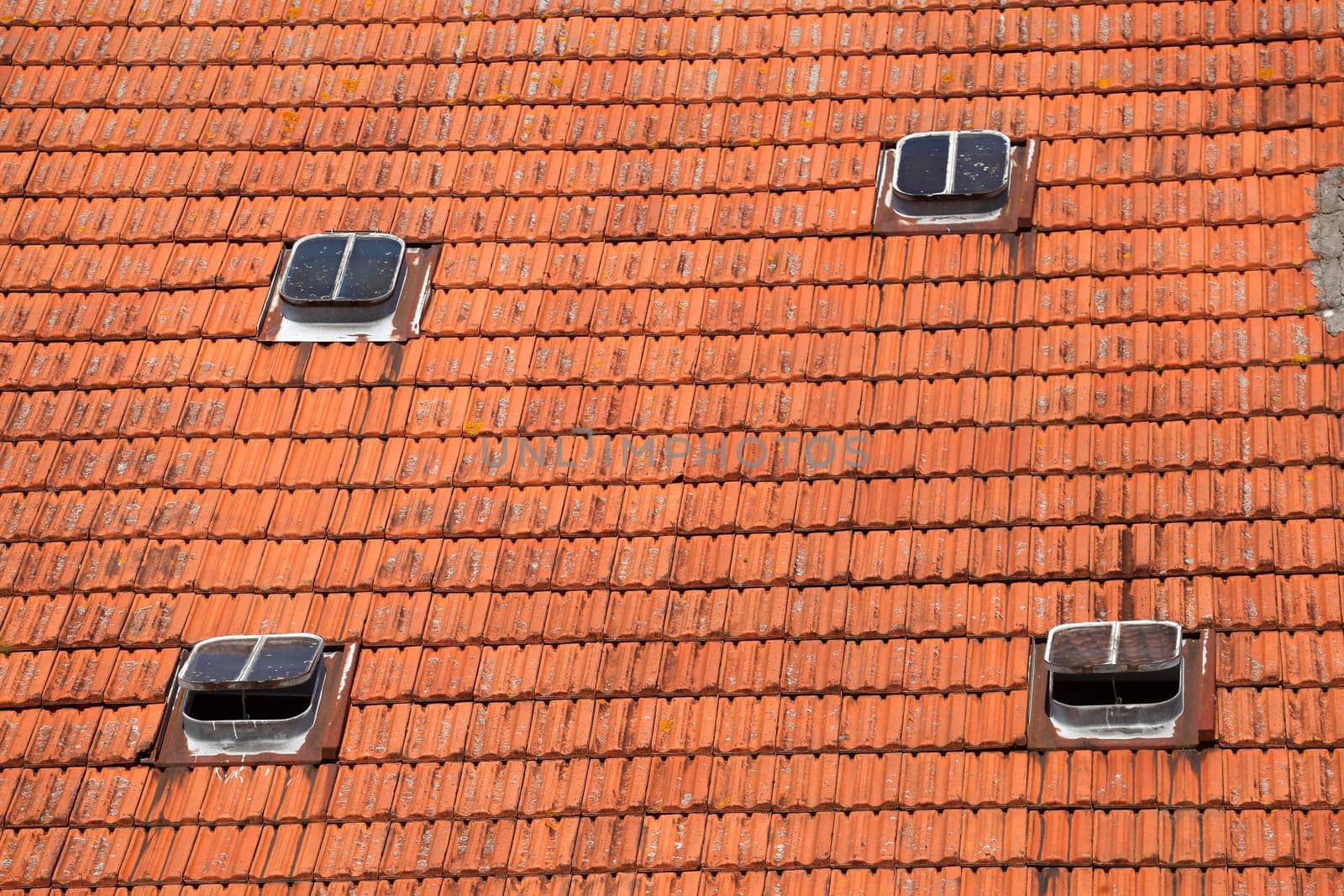 Roof, skylights, reddish tiles, Germany