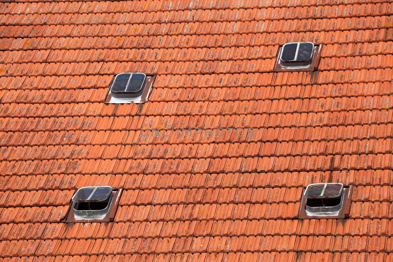 Roof, skylights, reddish tiles, Germany