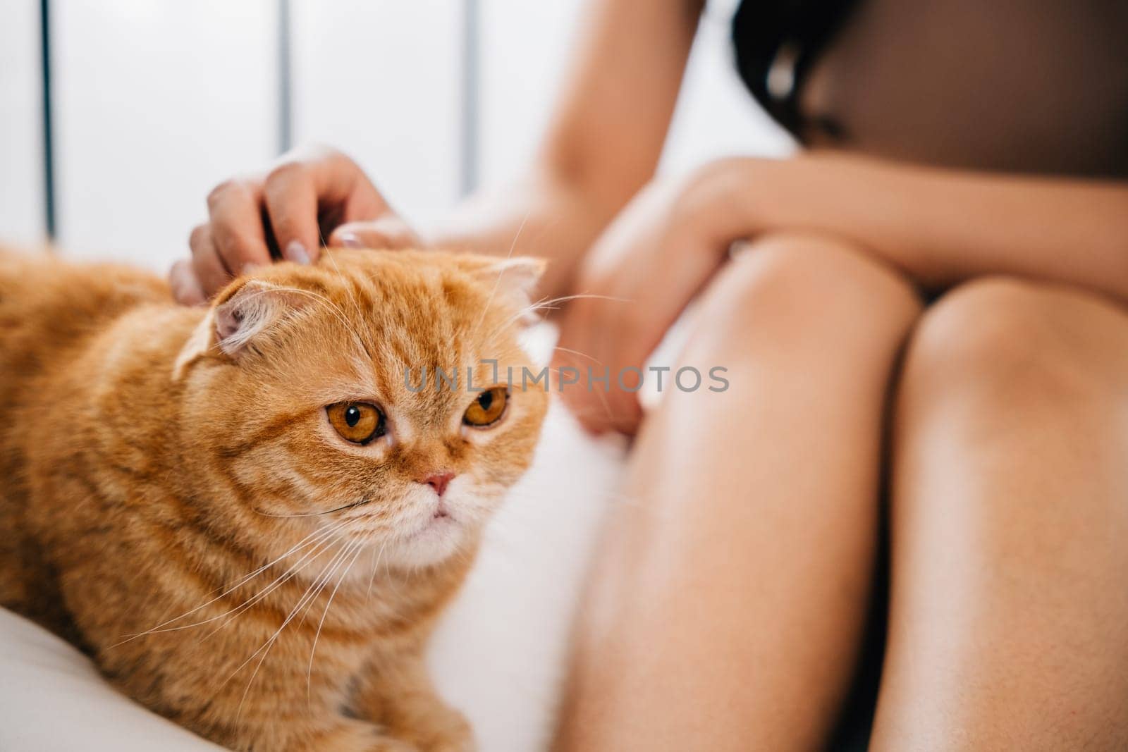 A woman and her beloved Scottish Fold cat relish the joy of bedtime togetherness in a comfortable bed at home. Their smiles and relaxed postures reflect their deep bond and contentment.