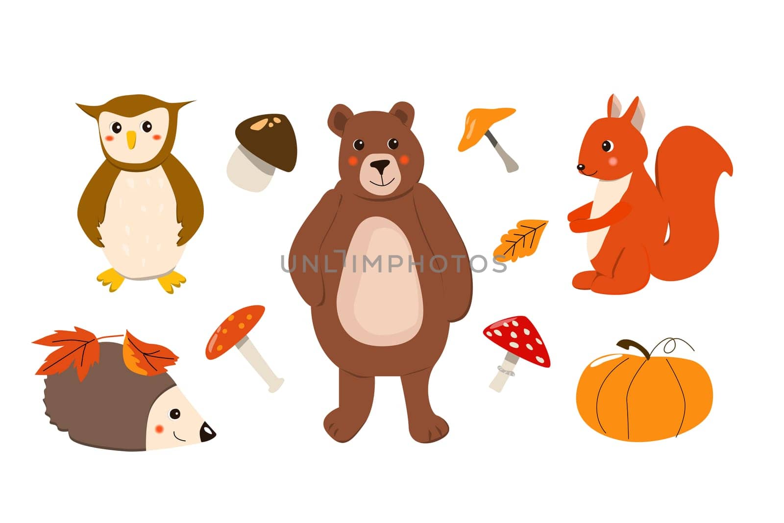 cute cartoon animals - set of bear, owl, squirrell and hedgehog. Vector illustration can used for stikers, wallpapers, labels, mascots of fall. Woodland cartoon animals in autumn with pumkin and mushroom