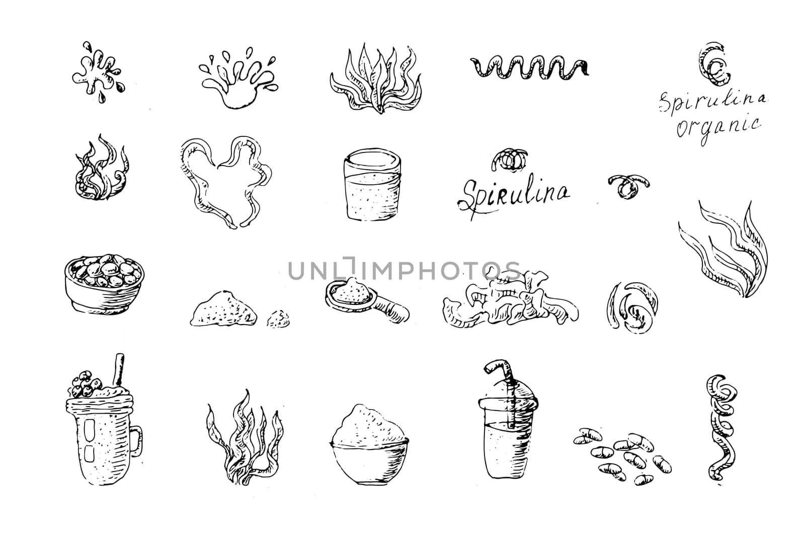 Hand drawn outline set of spirulina algae - superfood product for drink. Vector illustration can used for wrapping paper, poster, retro menu, banner. Sketch vector big set isolated.