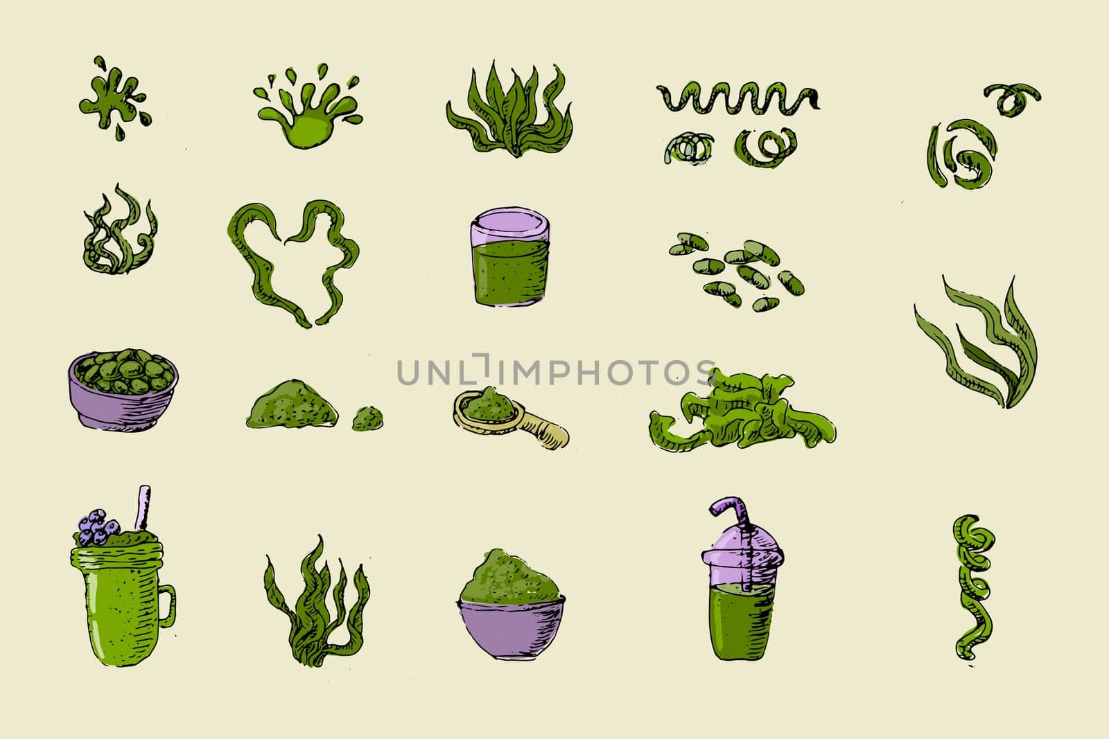 Hand drawn sketch spirulina algae and drinks. Vector illustration multicolor. Can used for menu background, textile, wrapping, food retro poster or banner.