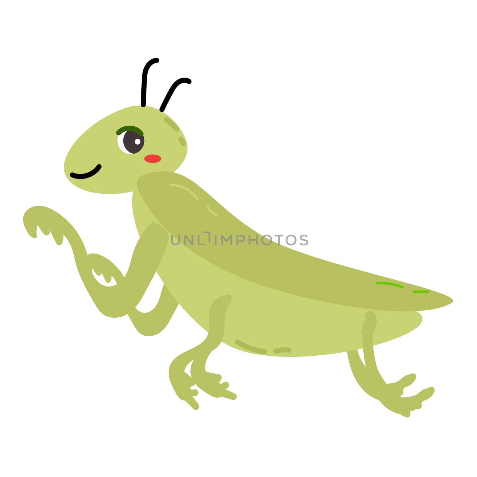 cute praing mantis cartoon character of animals. Vector illustration isolated. Cute childish design of baby animals - insects.