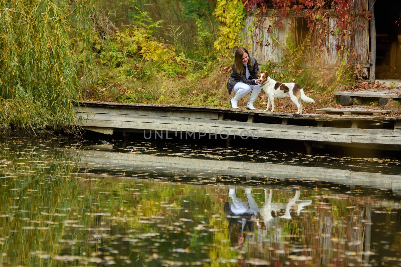 Young beautiful girl petting a dog near a lake in an autumn park
