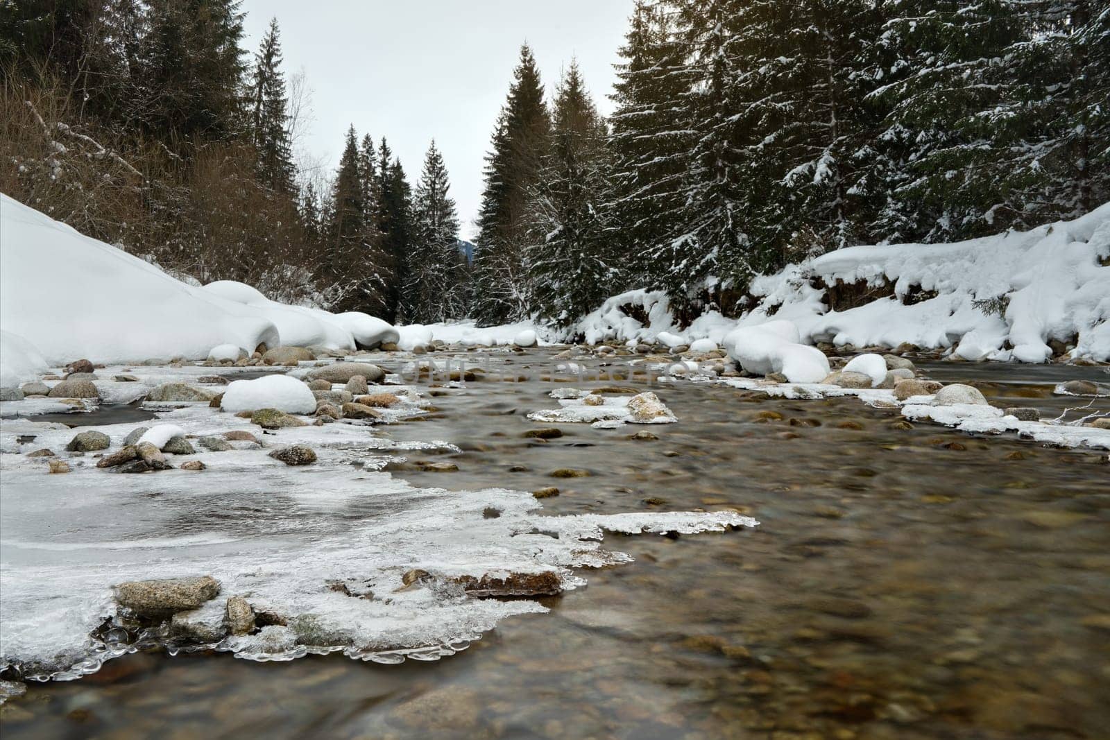 Morning on frozen winter river, low angle long exposure photo, focus on flowing water and ice covered stones, with coniferous trees in distance