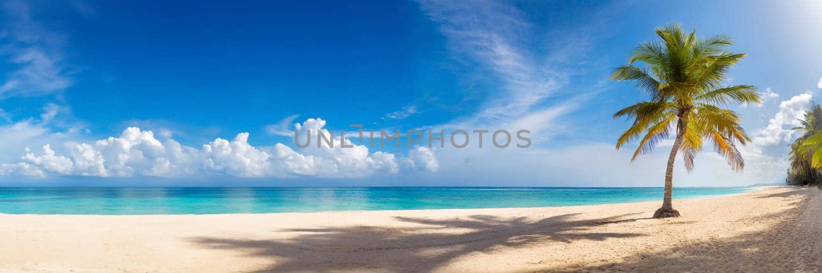 Palm tree on white sand beach with turquoise ocean water. AI generated