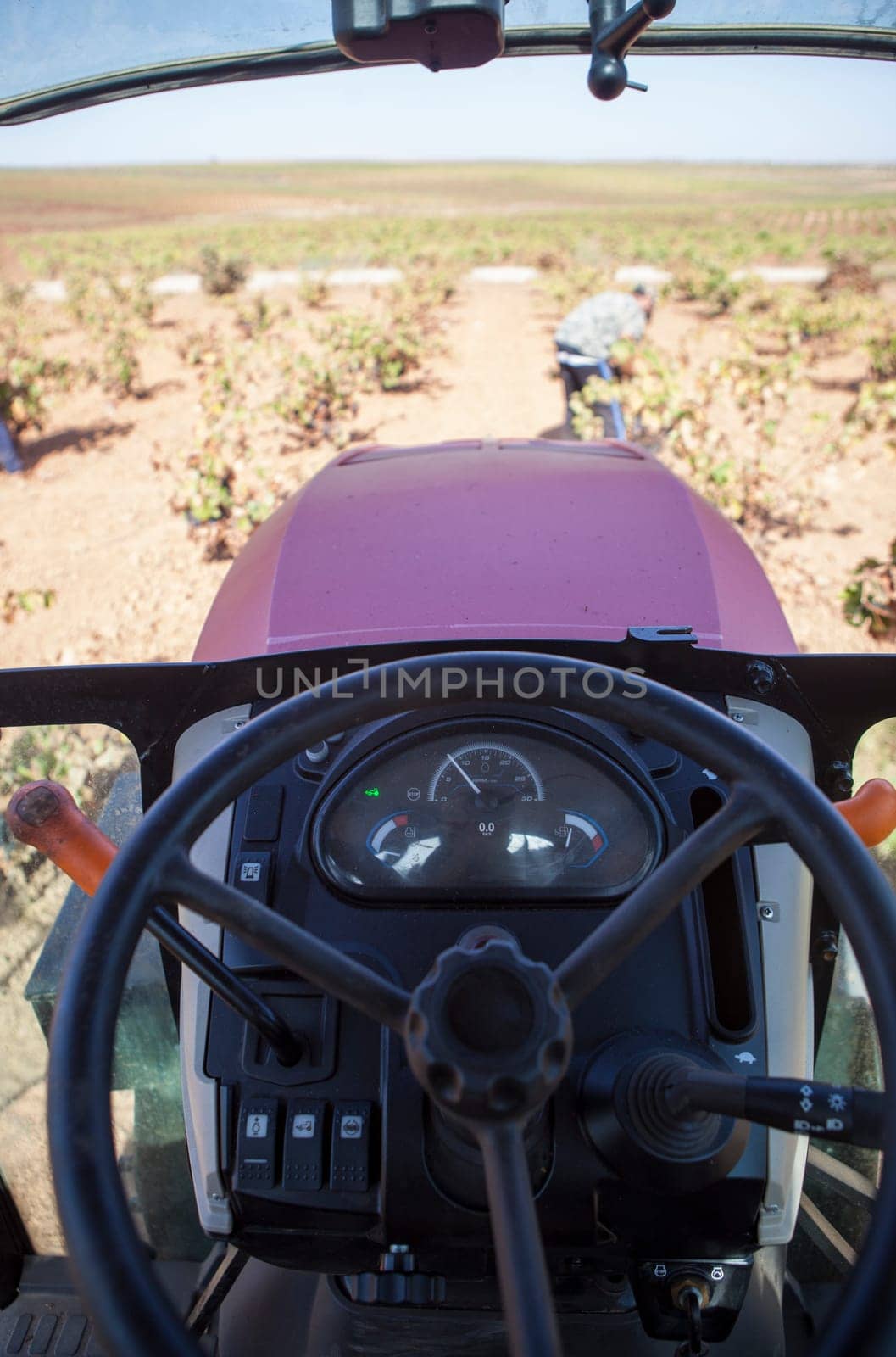 Viticulture tractor in operation during harvest season. Inside cabin view