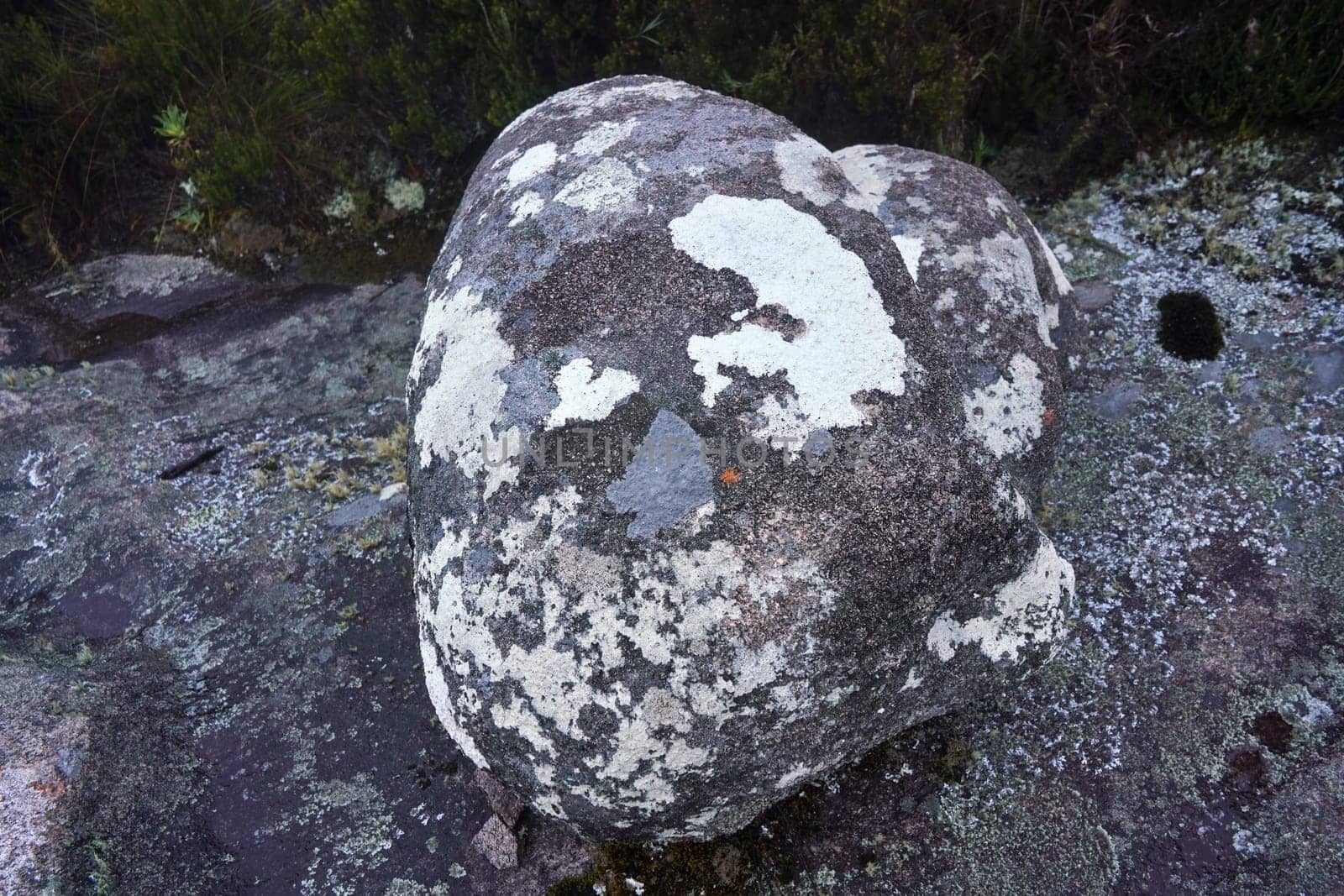 Large boulder covered with lichen, Andringitra National Park, Madagascar