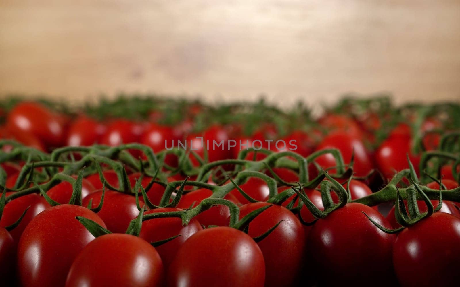 Heap of tomatoes with green stems, closeup photo with blurred wooden wall in background