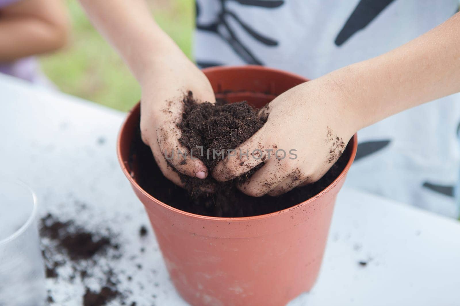 Grass heads workshop for children. Kid hands mixing seeds and compost