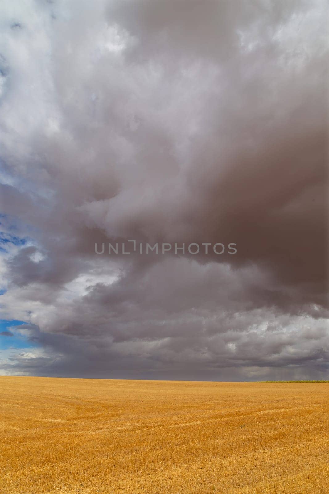 view of a crop field in the north of Spain