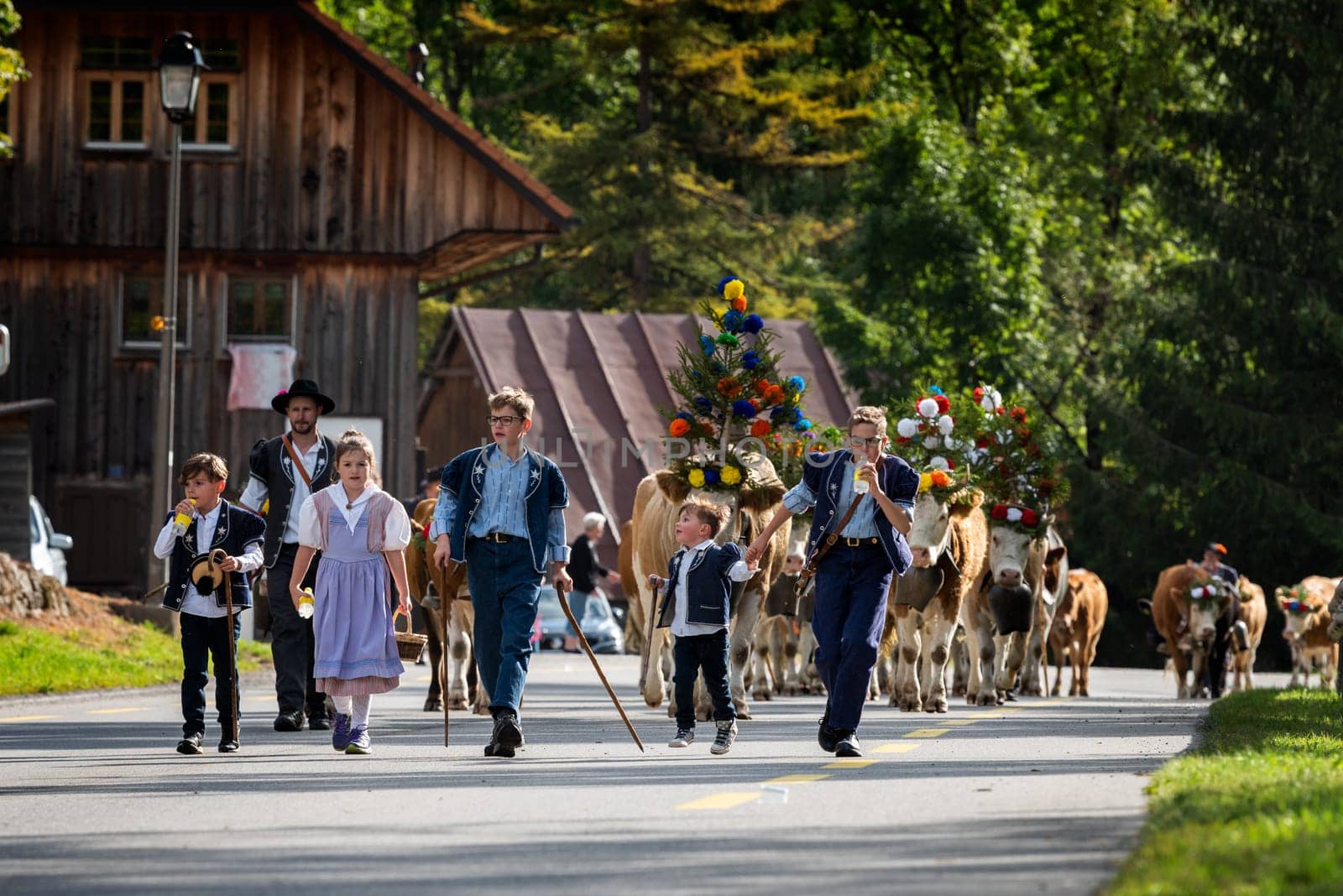 Charmey, Fribourg, Switzerland - 28 September 2019 : Farmers with a herd of cows on the annual transhumance at Charmey near Gruyeres, Fribourg zone on the Swiss alps