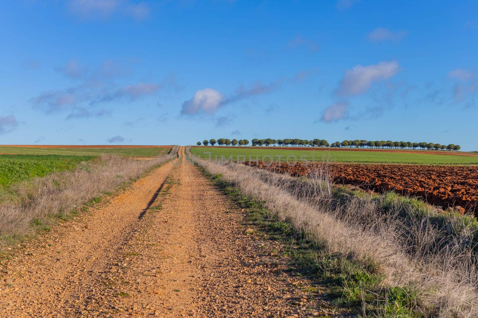 Andalucia, Spain, 04 December, 2022: Pilgrim walk along the Camino De Santiago, the Way of St. James pilgrimage route, Extremadura, Spain.