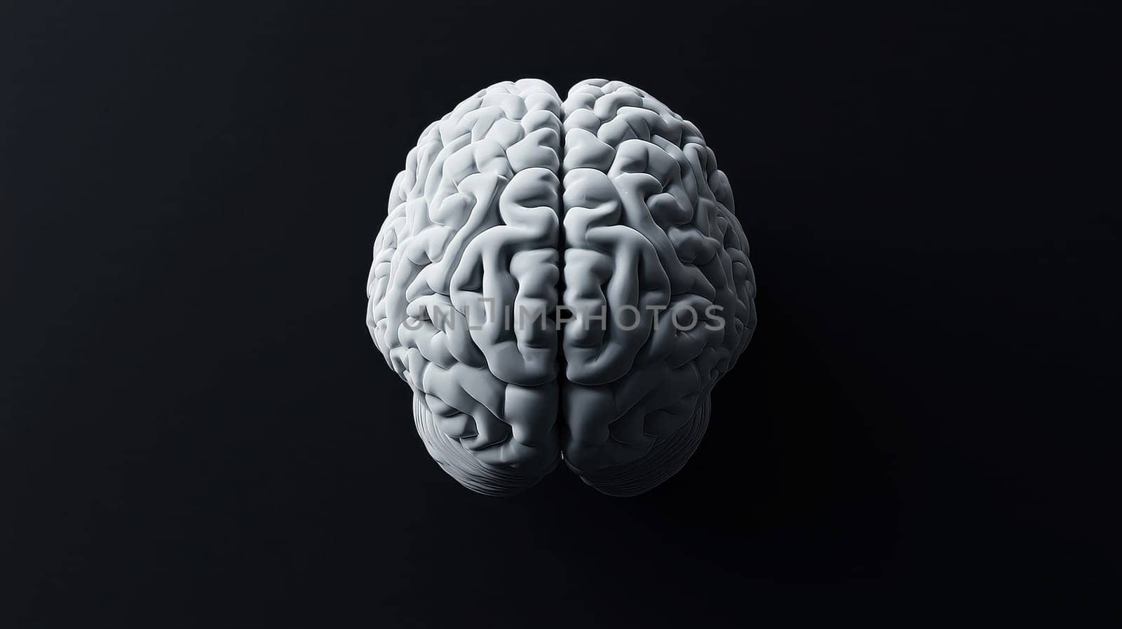 High-quality 3D illustration of a human brain with realistic texture and details, displayed on a clean white background. Ideal for use in medical presentations, neuroscience research..