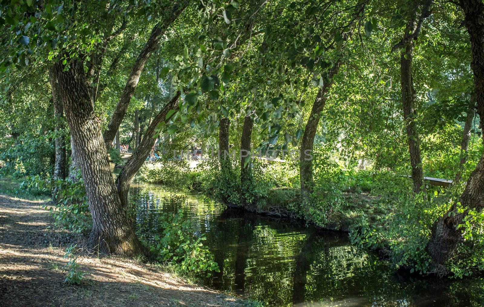 Gevora river forest, La Codosera, Badajoz, Extremadura, Spain. Idyllic location of crystal clear waters and riverside forests