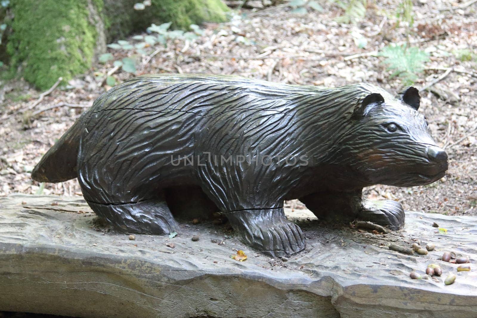 A Beaver, carved from a tree trunk, mammal