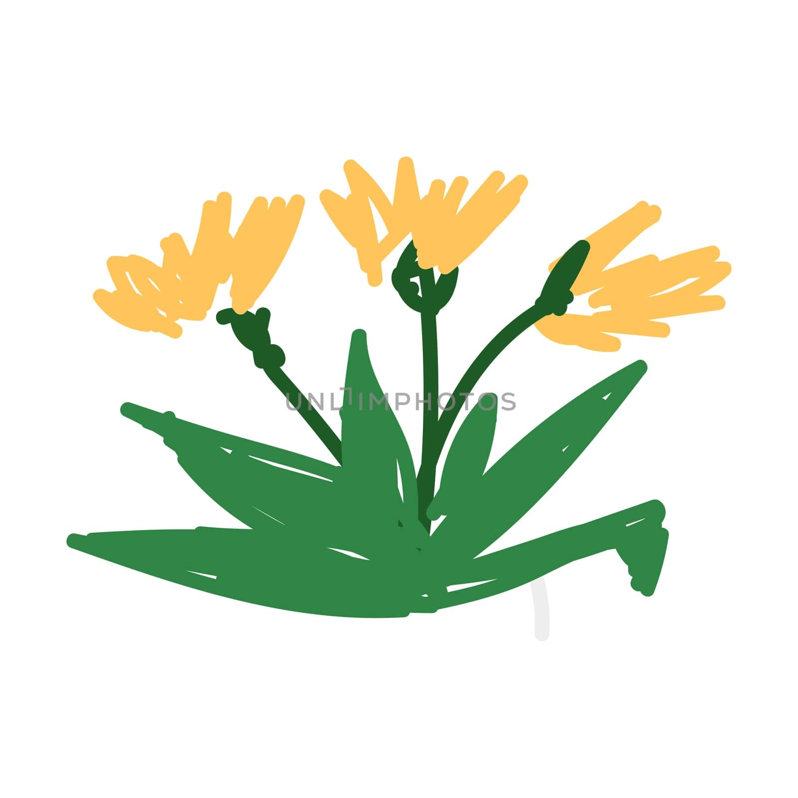 yellow flower daisy in sketch style cartoon icon. Vector illustration isolated.