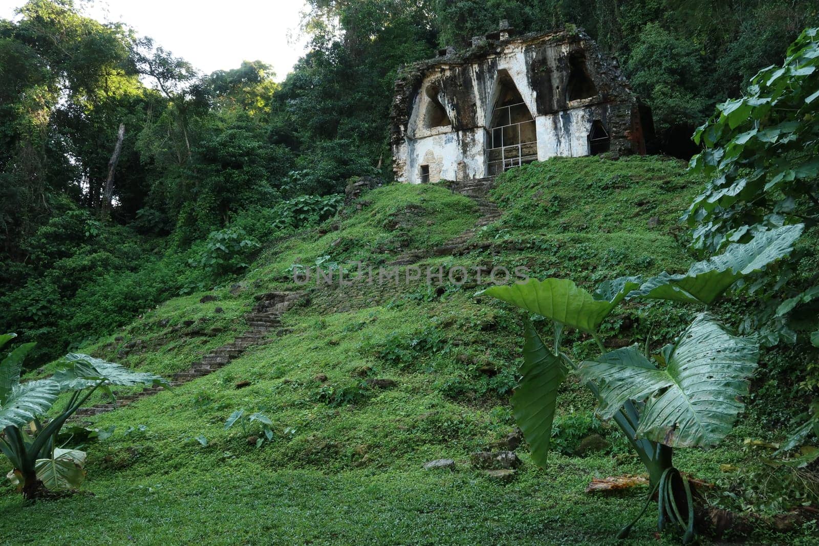 The Temple of the Cross/Templo de la Cruz settled on a hill in the dense jungle, archaeological site of Palenque, Mexico 2022