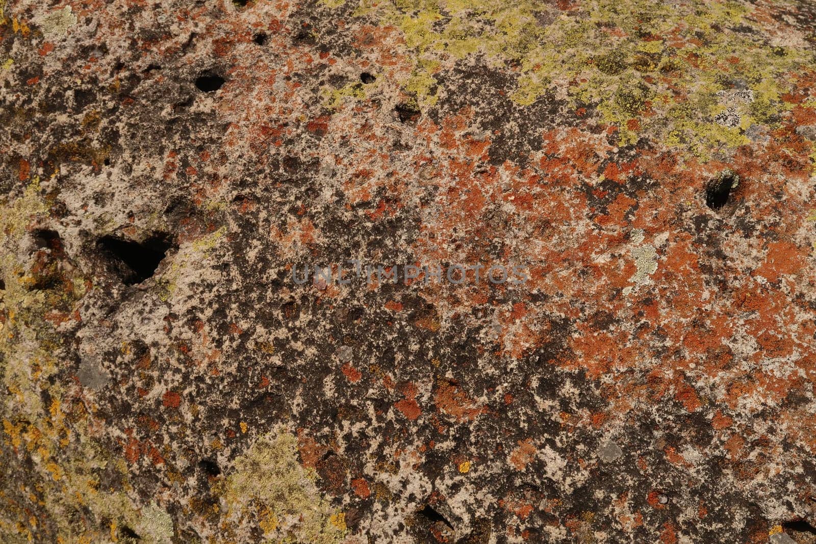 Big rock overgrown with red, black, green and yellow moss at the archaeological site of Mitla, Oaxaca, Mexico 2022