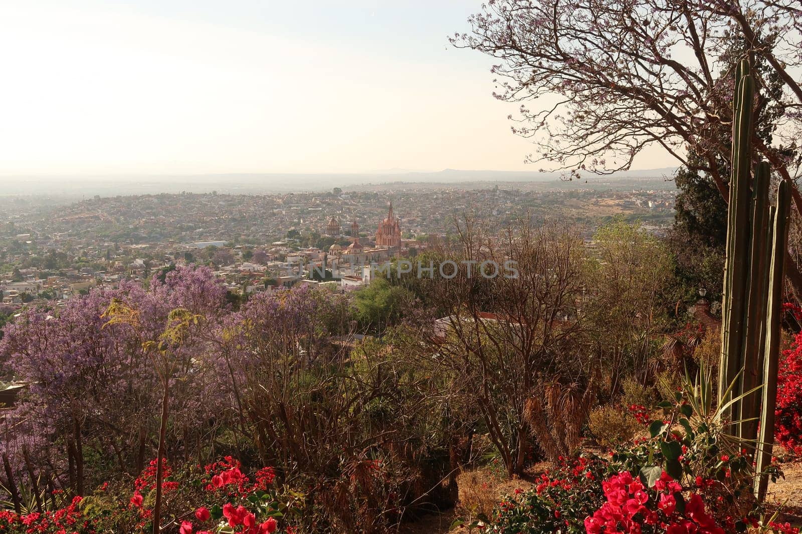 View from a view point/mirador onto the town of San Miguel de Allende with its famous church/cathedral Parroquia de San Miguel Arcangel in the middle, Mexico 2022