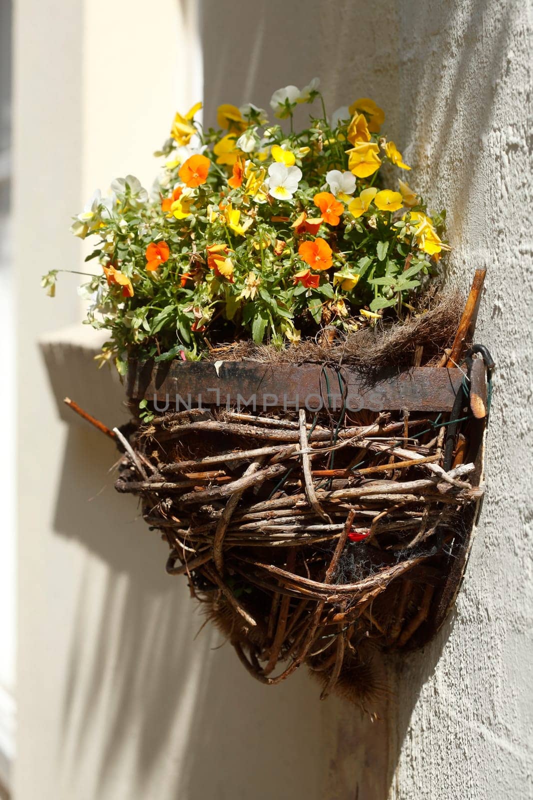 Flower nest with flowers hanging on a house wall, Germany