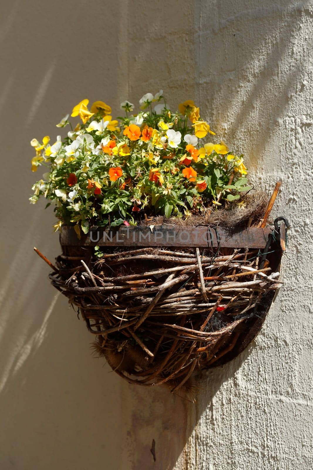 Flower nest with flowers hanging on a house wall, Germany