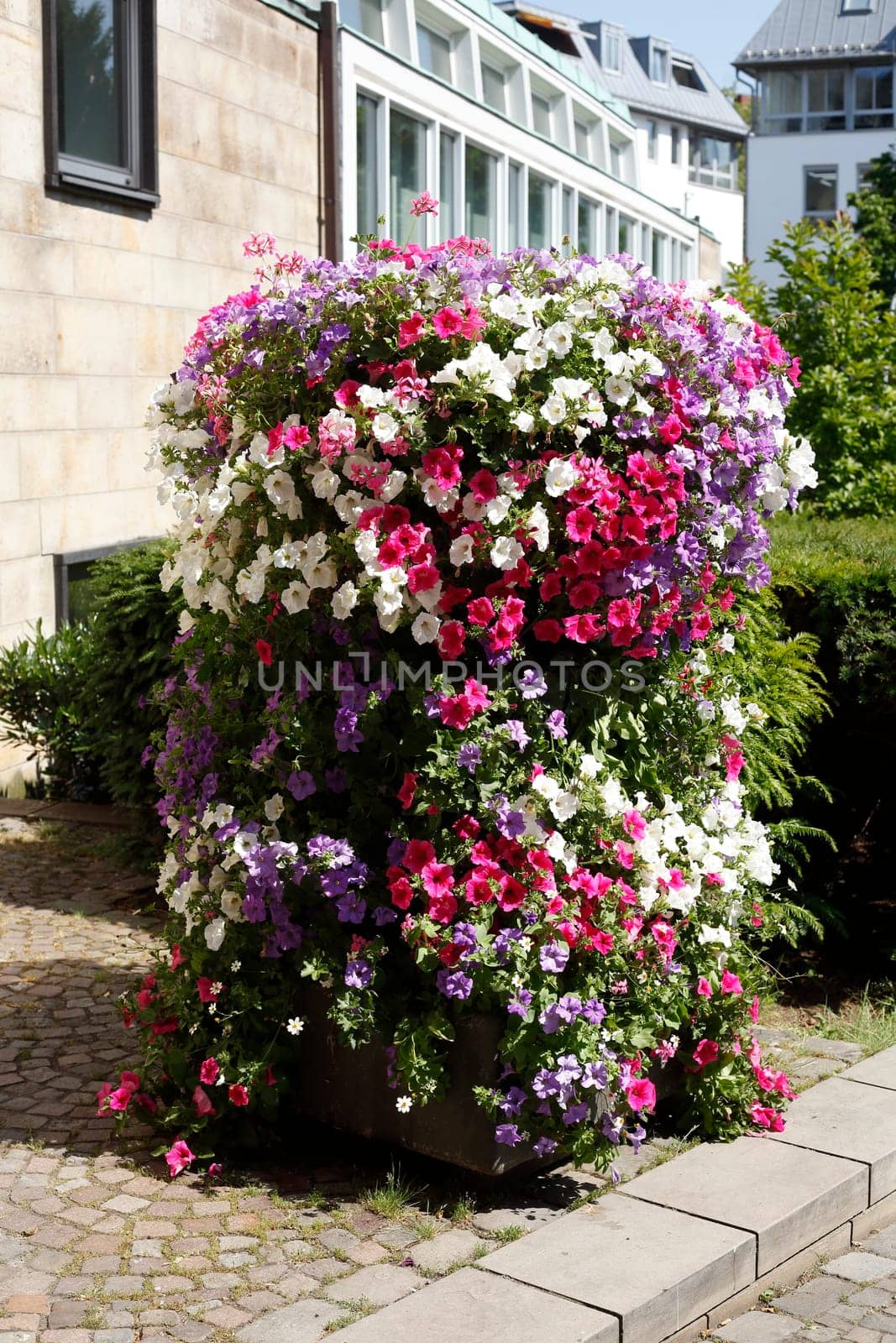 Flowers in a clay flowerpot standing on the street, Germany