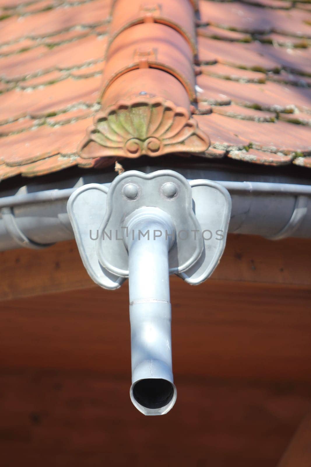 Roof drainage pipe in the form of an elephant's head with the trunk as drainage pipe