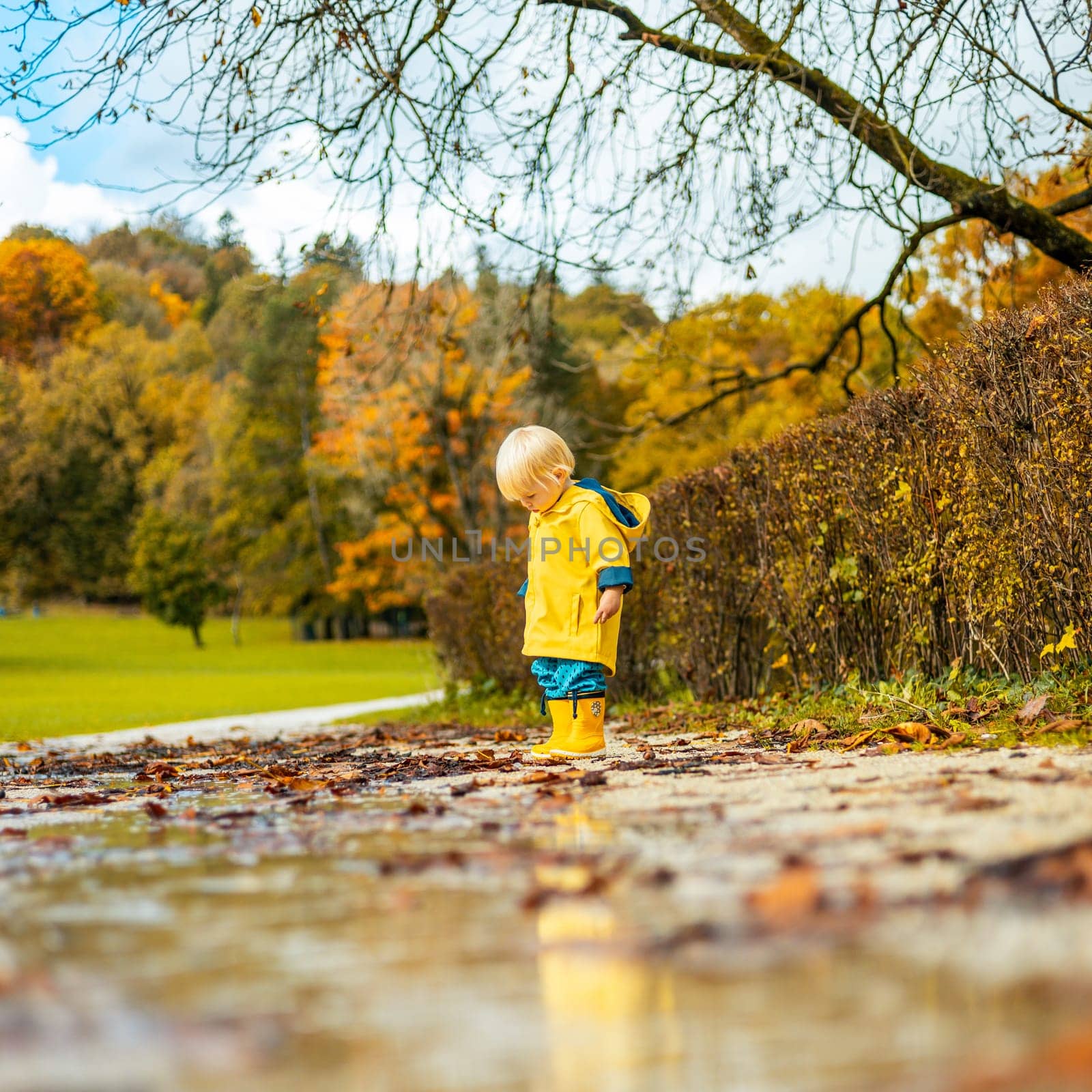 Sun always shines after the rain. Small bond infant boy wearing yellow rubber boots and yellow waterproof raincoat walking in puddles in city park on sunny rainy day