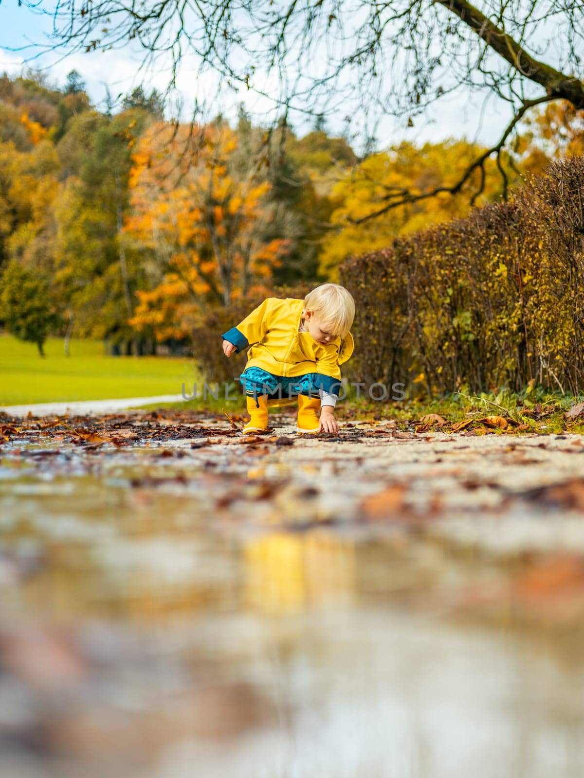 Sun always shines after the rain. Small bond infant boy wearing yellow rubber boots and yellow waterproof raincoat walking in puddles in city park on sunny rainy day