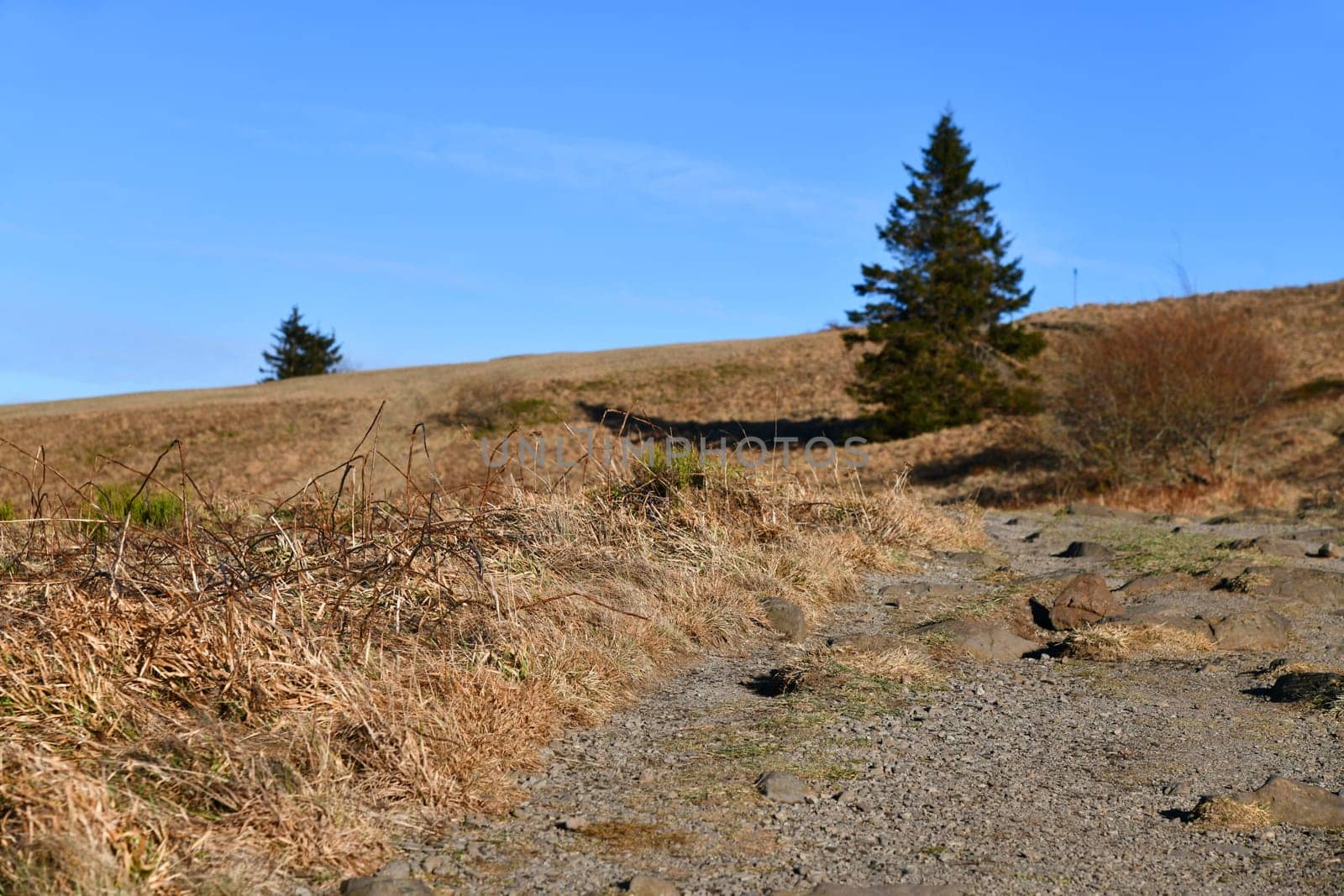Winter hike on the Wasserkuppe in the Rhön