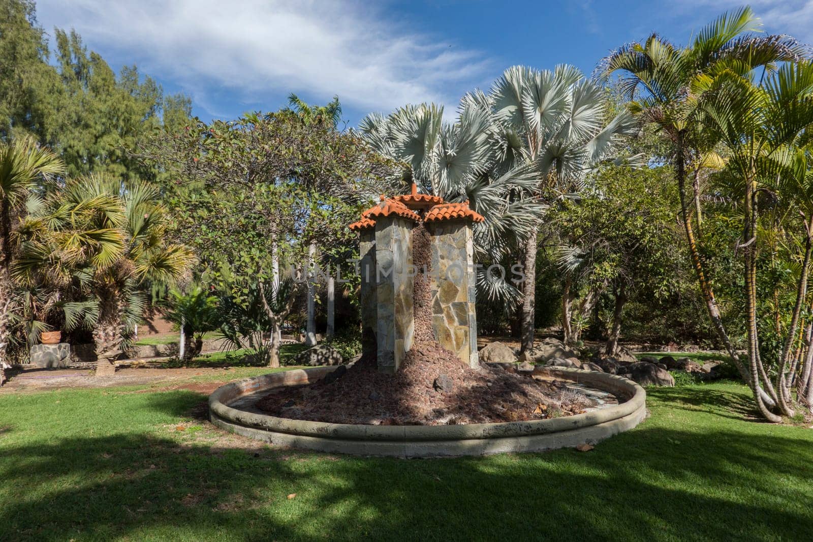 Botanischer Garten in Maspalomas mir diversen Palmen und andern Baumarten, Gran Canaria, Spanien