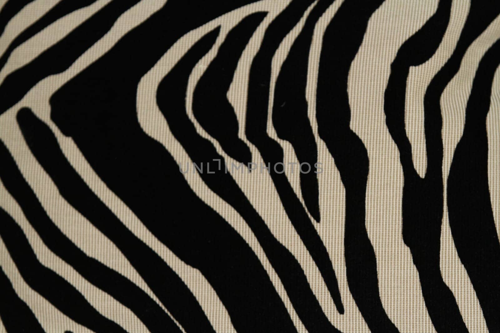 Closeup of zebra patterned pillow against black blanket over brocade background